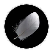 Klara Beauty hurtownia fryzjerska 6.png