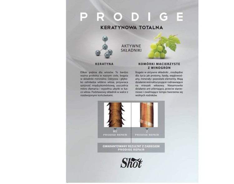 Shot_Prodige_Repair_Keratynowa_Odbudowa_włosów_składniki_aktywne.jpg