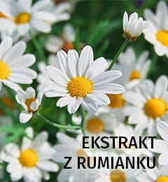 PROXIMUS Rozjaśniacz do włosów Flash Blonde1.jpg