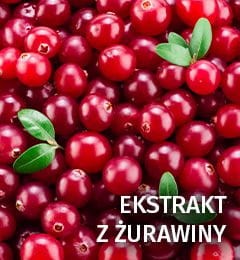 PROXIMUS Silver Shampoo fioletowy szampon do włosów blond1.jpg