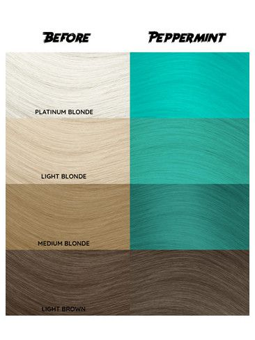 CRAZY COLOR Peppermint profesjonalny miętowy toner do włosów_wzornik.png