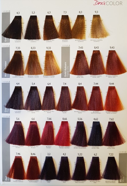 paleta kolorów farb shot  Dna.jpg