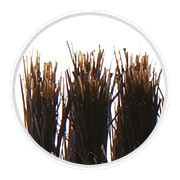 Klara Beauty hurtownia fryzjerska 1.png