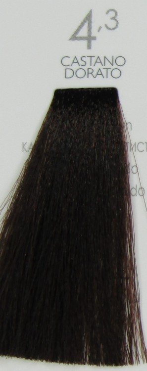 Shot 4.3 Castano Dorato.JPG